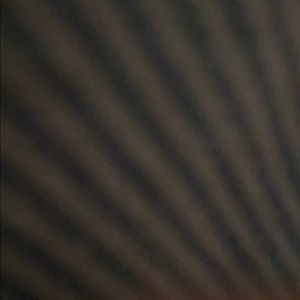 Meet your Posher, Will